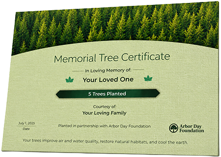Plant Trees in Memory of Barbara Sue Smith